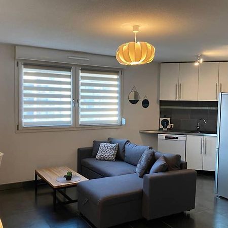 F2 Au Calme, Proche Gare, Center Parc, Sainte Croix Apartment Сарбур Екстериор снимка